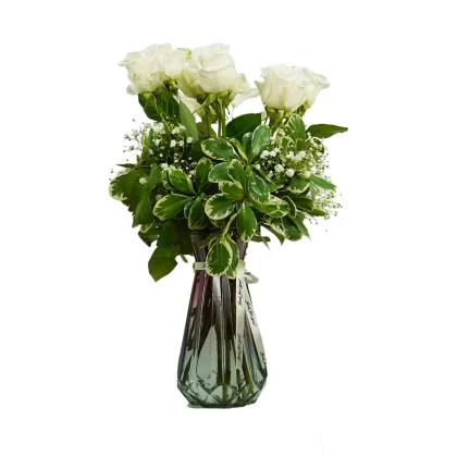 Ivory Elegance