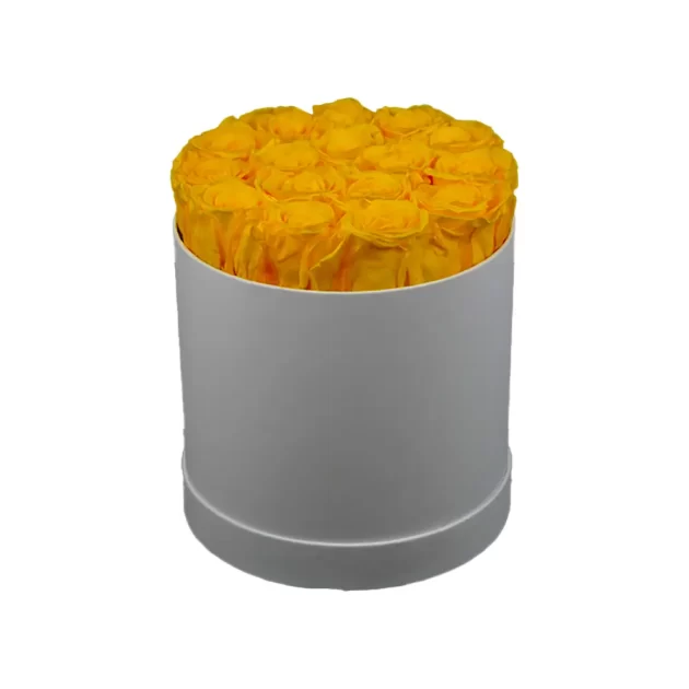 Preserved Roses- Classic White Round Box (Yellow)