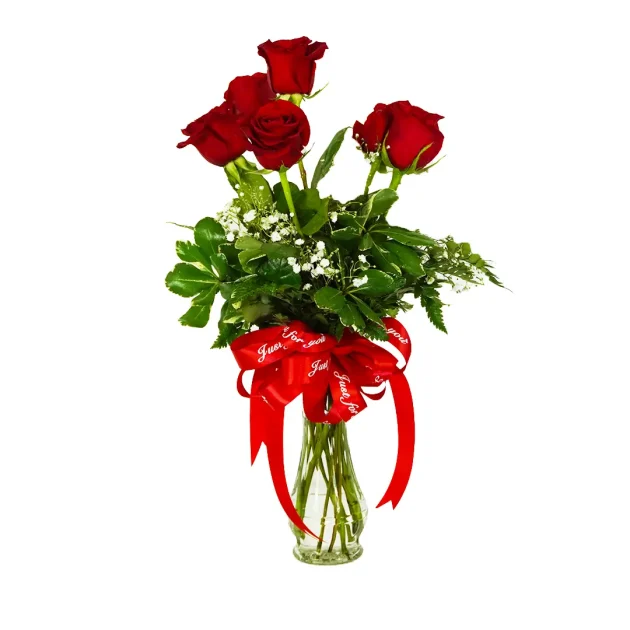 6 Red Roses Arranged